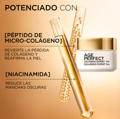 Pack Rejuvenecedor Día & Noche Age Perfect – L’Oréal París