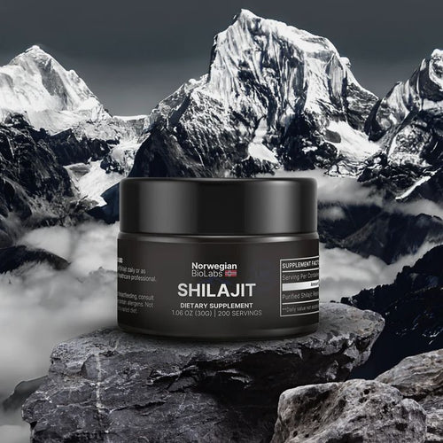 SHILAJIT Resina orgánica pura del Himalaya  100g